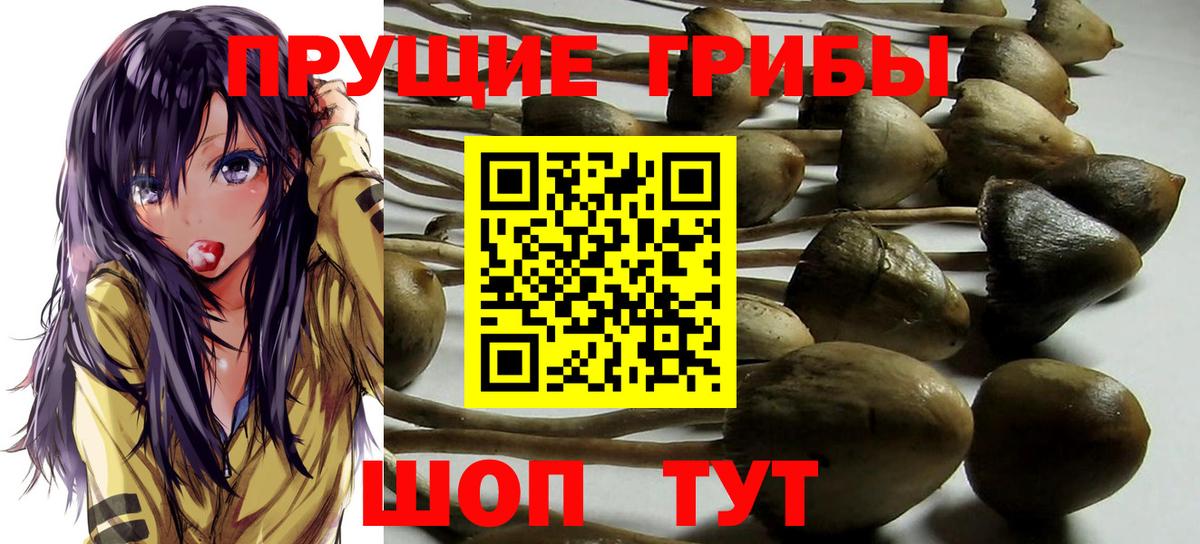 Псилоцибиновые грибы ЛСД  Вход с VPN  Радужный  Галлюциногенные грибы MAGIC MUSHROOMS 